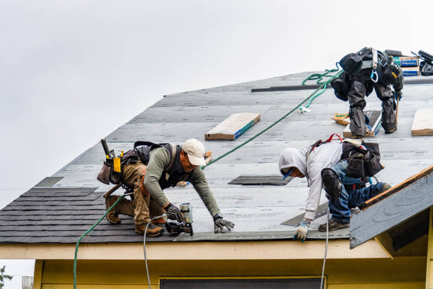 Professional Gutter Installation technician working in Elloree, SC